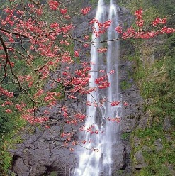 Wulai Aboriginal Village Tou